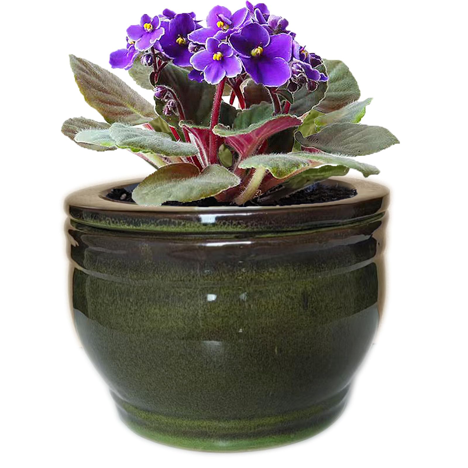 Dphagesy African Violet Pots Self Watering Round Ceramic Violet Pot (Olive drab, 6 inch)