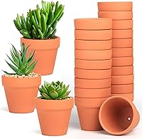 Baxrou 24 Pack 3.15 Inch Mini Terracotta Pots with Drainage Holes - Ideal for Succulents, Cacti, Crafts & Wedding Favors