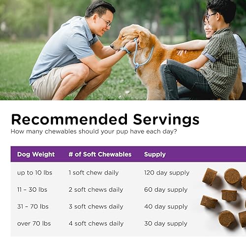 Miniatura 5 de Nutri-Vet Pre y probióticos para perros, apoyo digestivo, malestar estomacal, probiótico para cachorros, vitaminas y suplementos para mascotas,