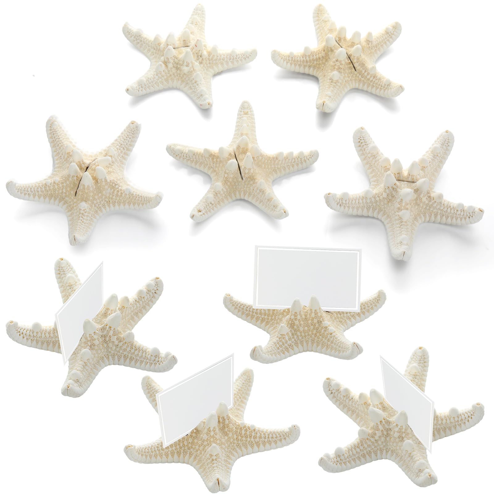Photo 1 of Novabright 12 Pcs Real Knobby Starfish Place Card Holder with Card Set Sea Shell Placecard Holder Set for Beach Wedding Decor Event Table Decor