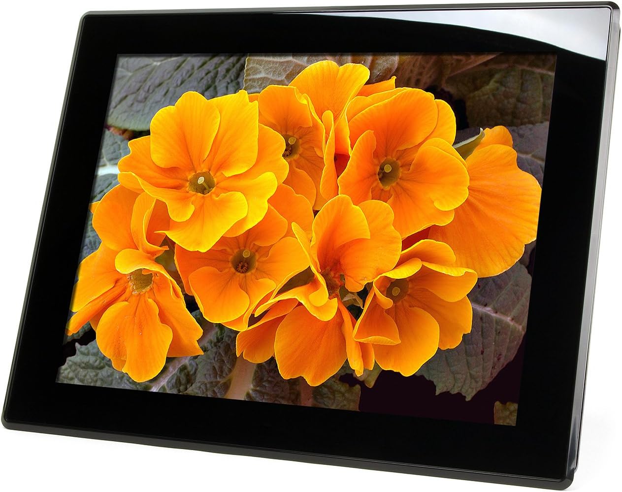 Micca M1503Z 15-Inch 1024x768 High Resolution Digital Photo Frame with 8GB Storage Media, Auto On/Off Timer, MP3 and Video Player (Black)