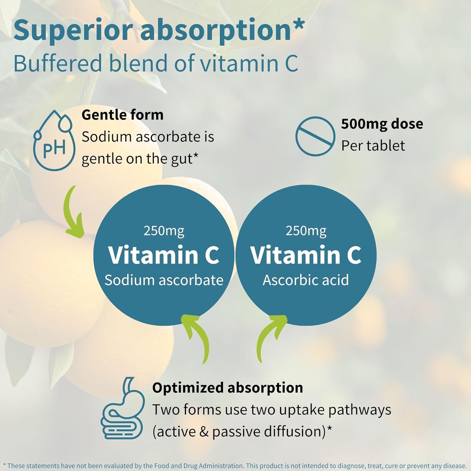 Igennus Gentle Buffered Vitamin C Chewable 500mg, for Kids & Adults, Optimized Absorption with Dual Forms Sodium Ascorbate & Ascorbic Acid, Sugar Free Natural Orange & Lemon Flavors, 120–240 Servings - Image 3
