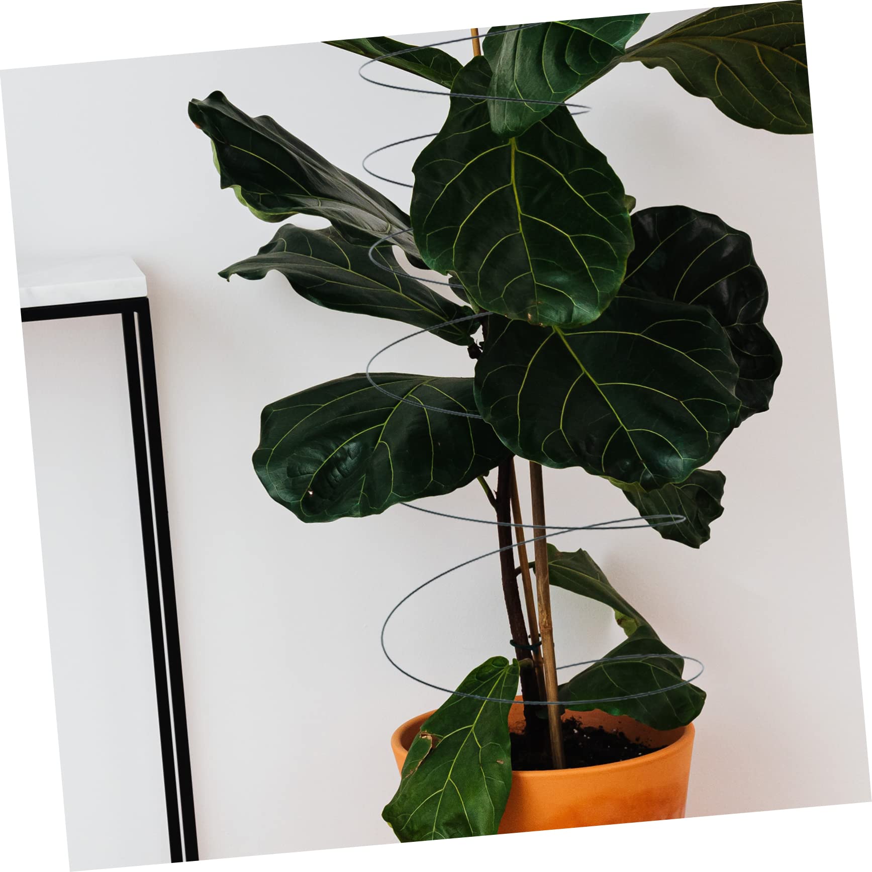 Poteaux de Support Spiralés pour Plantes Grimpantes 2 Pièces