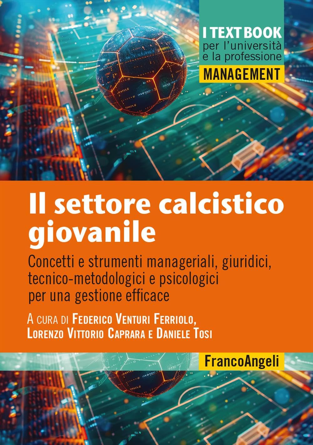 Il Settore Calcistico Giovanile. Concetti E Strumenti Manageriali, Giuridici, Tecnico-Metodologici E Psicologici Per Una Gestione Efficace - 4