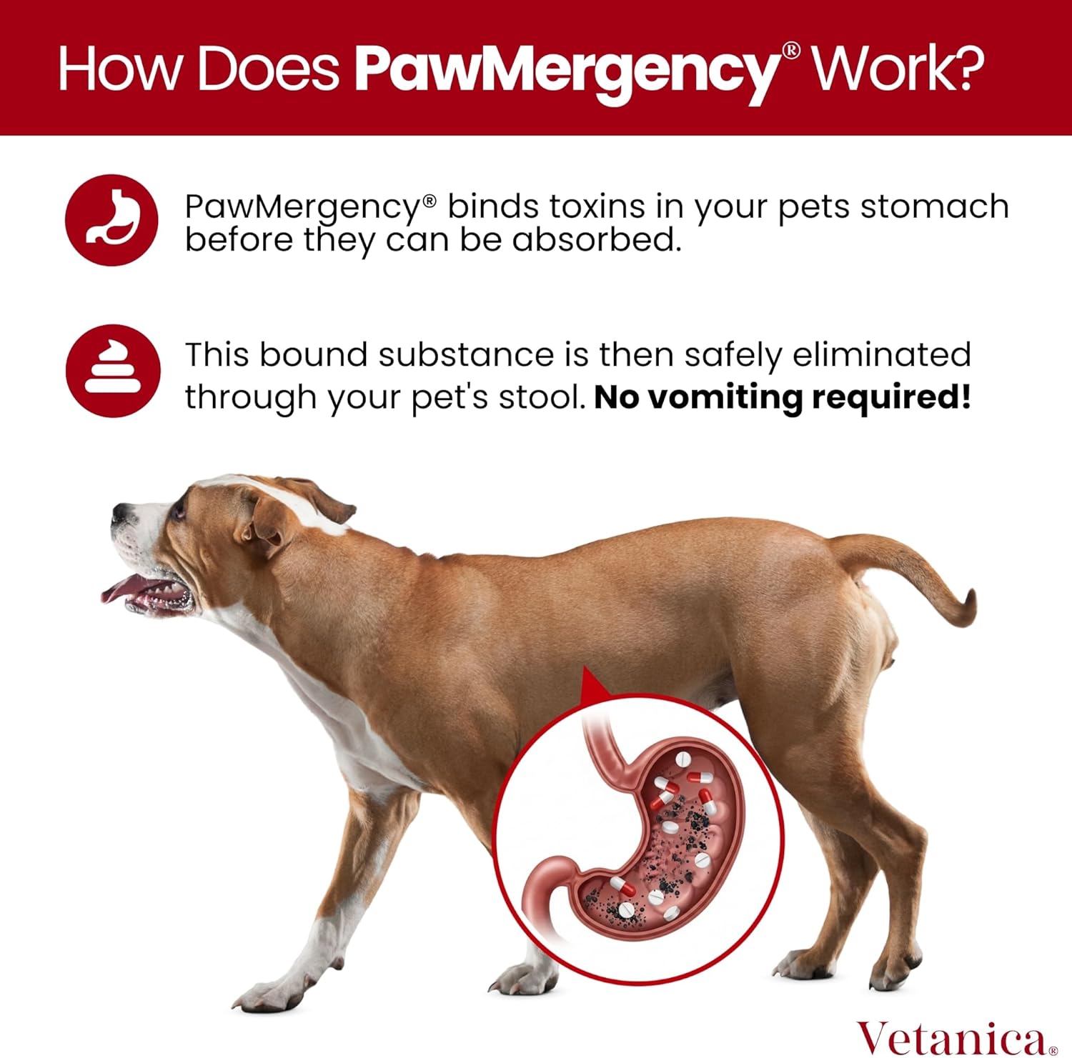 PawMergency – Activated Charcoal First Aid Kit Emergency Rescue 3 Pack for Dogs, Cats, Puppy & Pet Poison Kit, Camping Survival Remedy Essential, Oral Anti Diarrhea Digestive Absorb Toxins