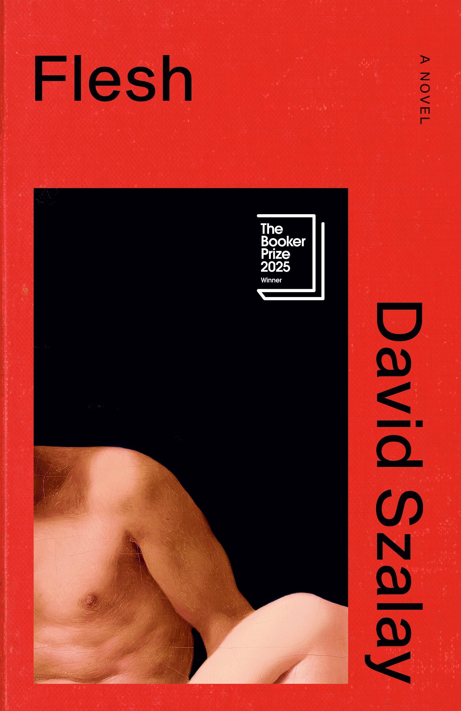 Cover image of Flesh by David Szalay
