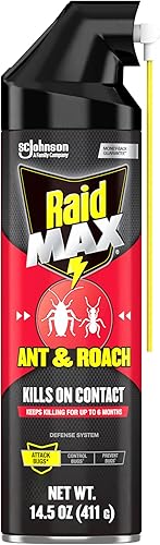 Raid Spray Max para hormigas y cucarachas (14.5 onzas, paquete - 1)