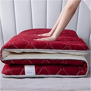 HFAFRZ Materasso Tatami Pieghevole del Fumetto Adulto, Quattro Stagioni Singolo Materasso Matrimoniale Tatami per dormitorio Camere familiari,F,0.9x2.0m