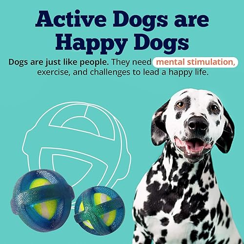 Miniatura 3 de American Pet Supplies - Juego de pelotas de tenis, juego de pelota de tenis con revestimiento TPR, juguetes de masticación para cachorros y perros