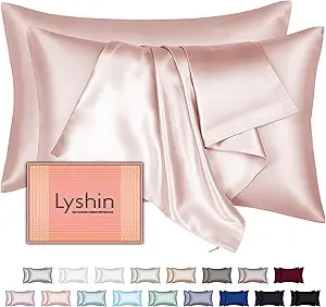 Mulberry Silk Pillow Cases 2 Pack Queen Size 20x30 Inches with Hidden Zipper, Ultra Smooth and Soft Breathable Cooling Silk Satin Pillowcase Set of 2, Better for Hair and Skin, Gifts for Women Men