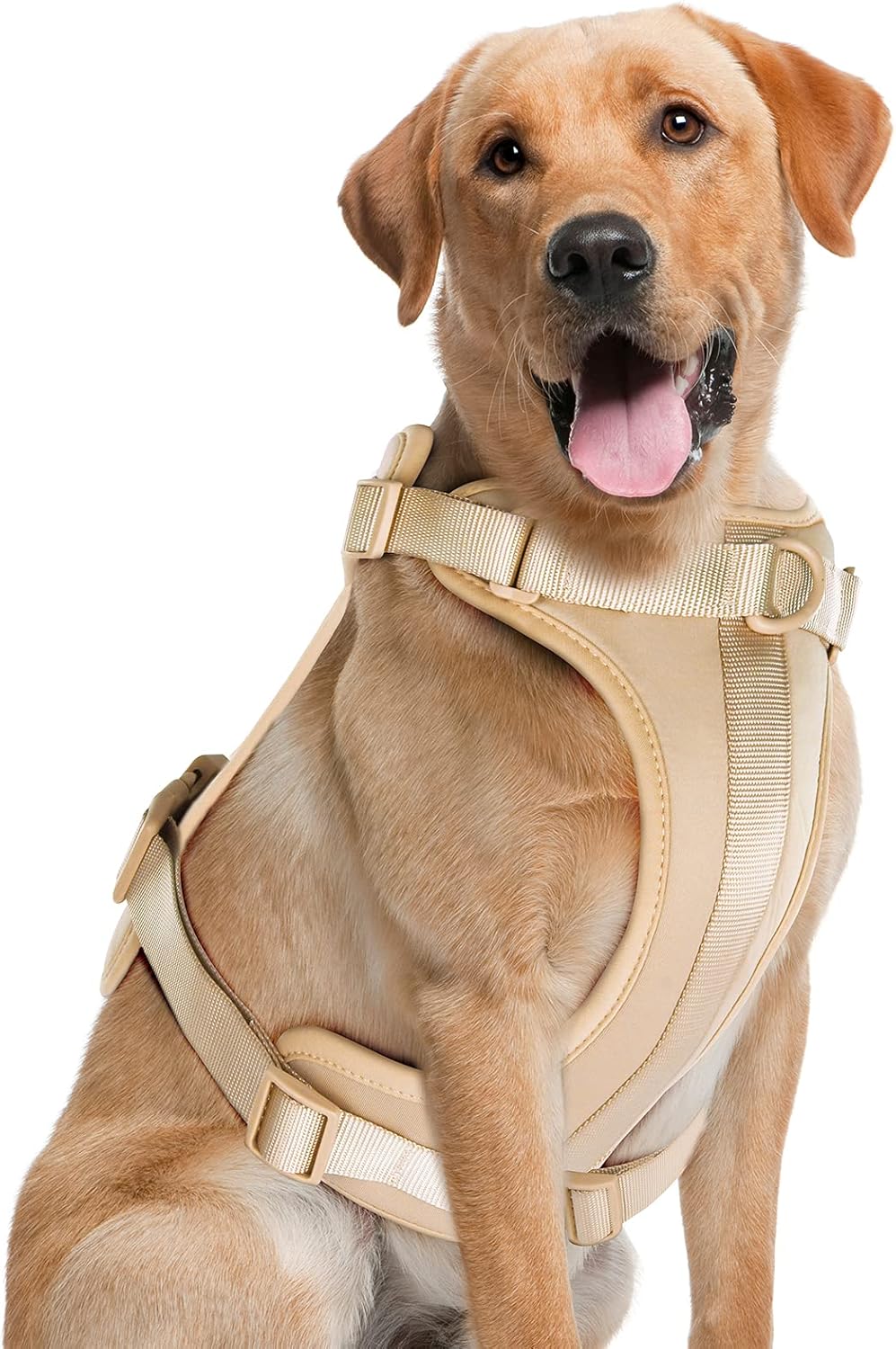 reddy dog harness small