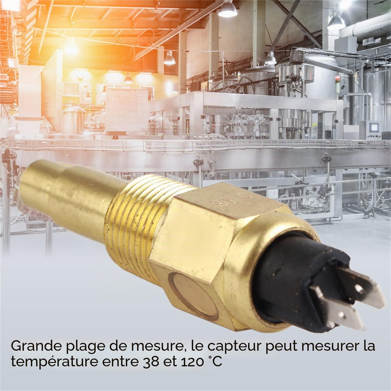 ViaGasaFamido Capteur de température de l'eau Moteur Professionnel 3/8 NPT 24V - Sonde précise et Durable adaptée aux mécaniciens Automobiles et équipements industriels