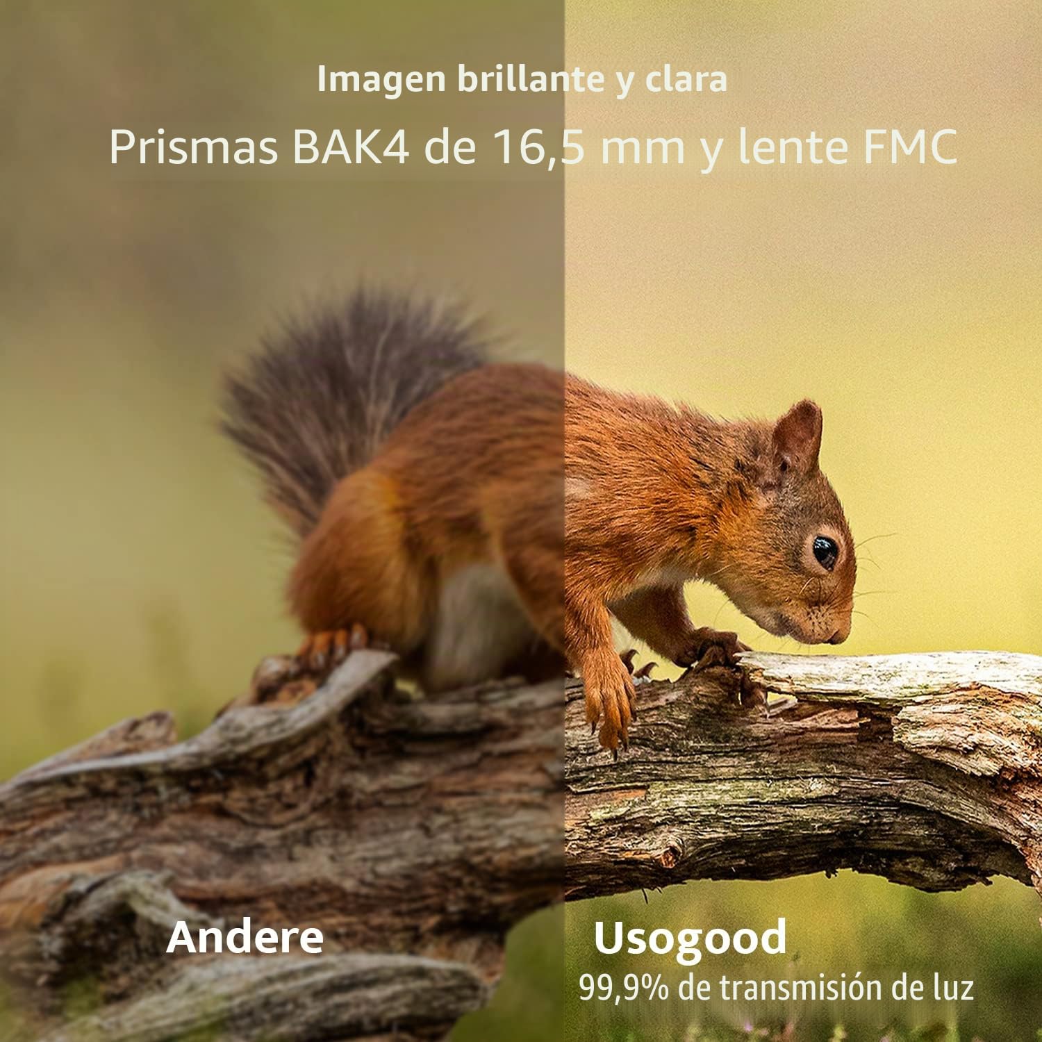 Usogood Prismáticos 10 x 42 HD con prisma BAK4 HD + lente FMC, prismáticos con adaptador de teléfono para fotografía, prismáticos adultos para observación de aves, caza, senderismo, safari
