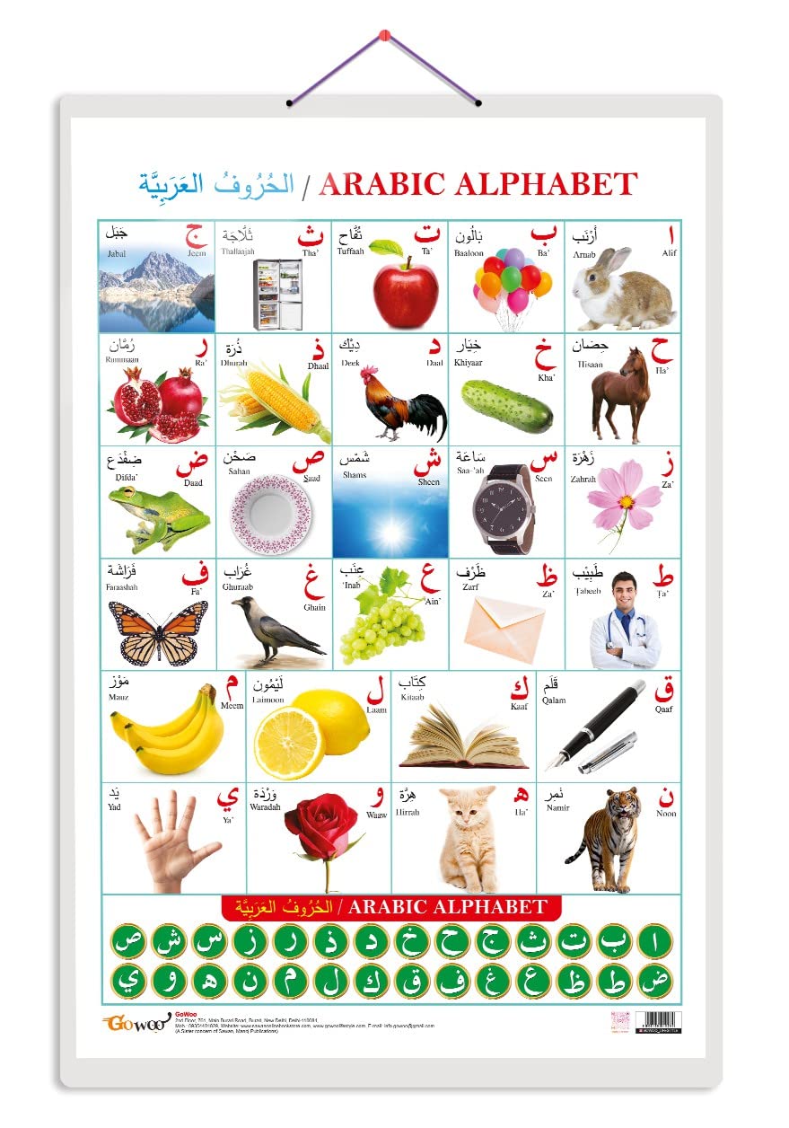 Arabic Alphabet (Arabic) Early Learning Educational Chart for Kids | 20"X30" inch |Non-Tearable and Waterproof | Double Sided Laminated | Perfect for Homeschooling, Kindergarten and Nursery Students