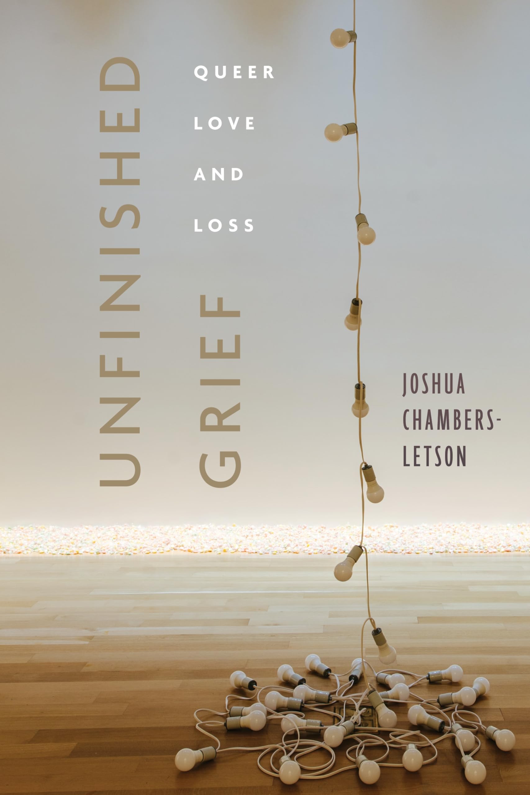 Unfinished Grief: Queer Love and Loss (Sexual Cultures)