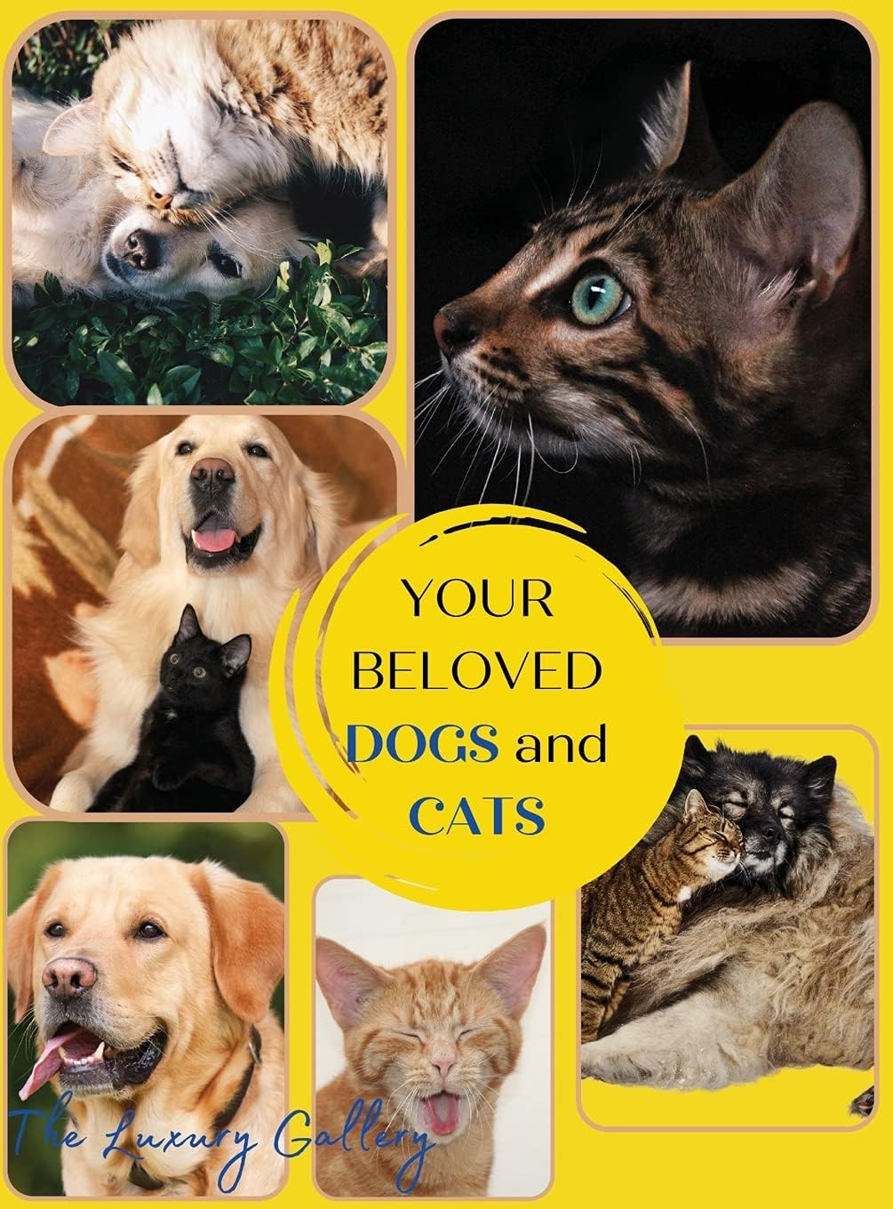 Your Beloved Dogs and Cats: The Best Selection of 50 Dog and Cat Photos by Manhattan's Top Photographers