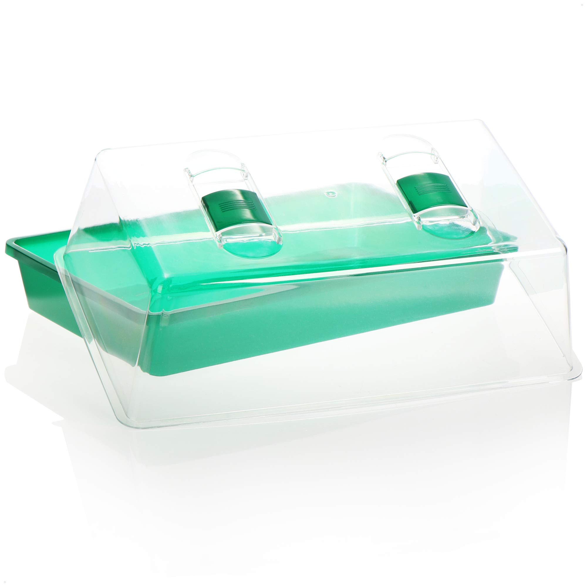 COM-FOUR® Serre d'intérieur 2X, équipement pour la Culture de Plantes, Pot de Culture avec Couvercle, Conception Stable et résiliente (2 Serre intérieure - Verte)