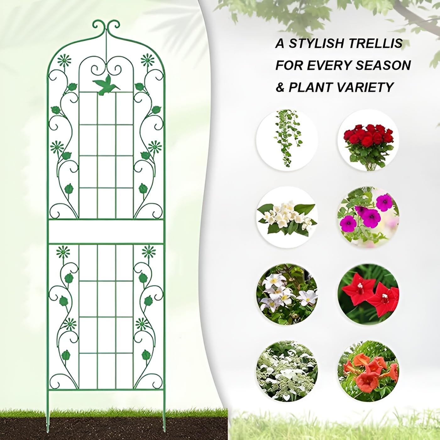 Treillis de jardin en fer forgé pour plantes grimpantes d'intérieur/extérieur - Résistant aux intempéries - Clôture de concombre en métal blanc (1 pièce, 50 x 210 cm)