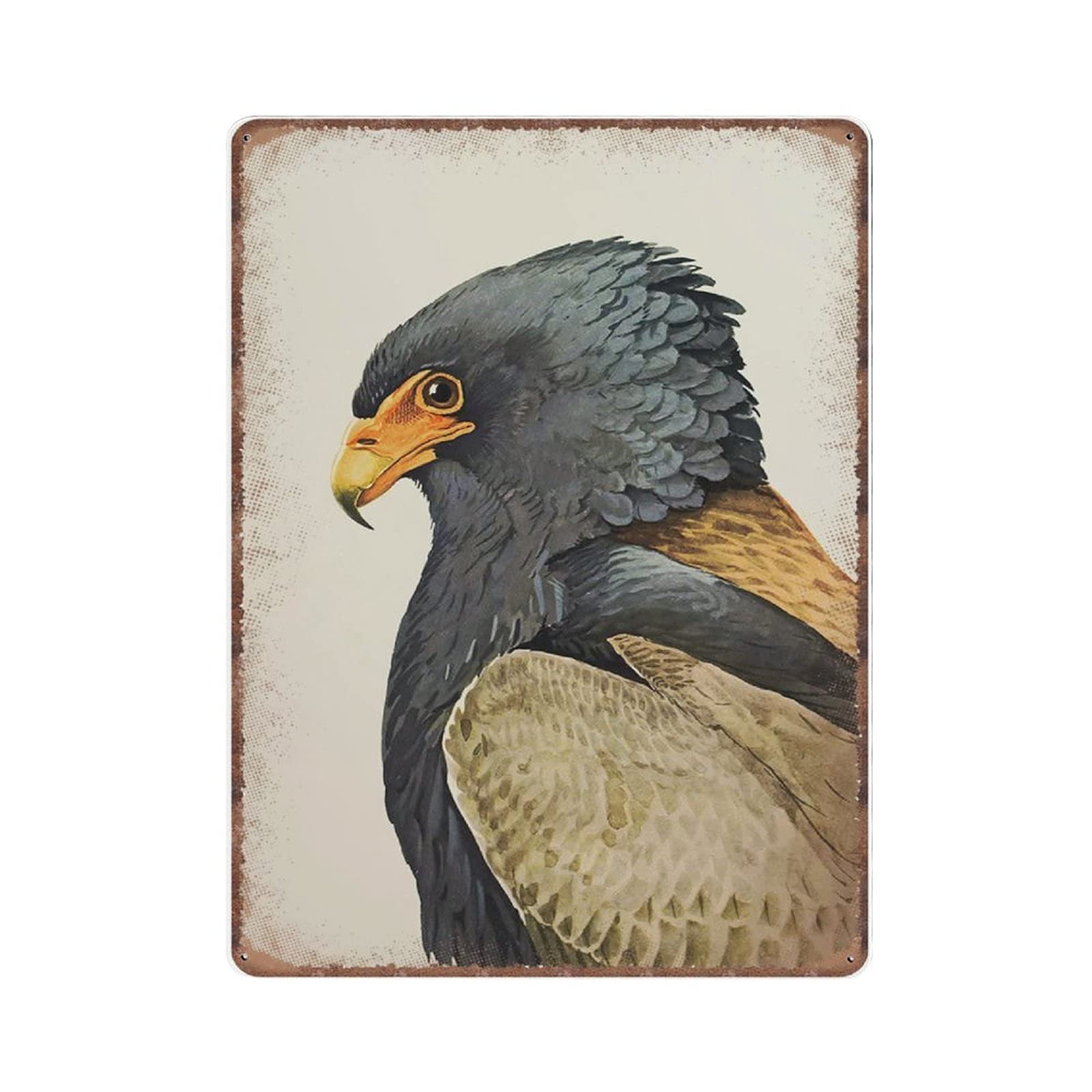 rayprint Bateleur Eagle Tin Signs Funny Vintage Metal Sign Plaqu Poster Wall Art Pub Bar Kitchen Garden Bathroom Home Decor, 30x40 cm