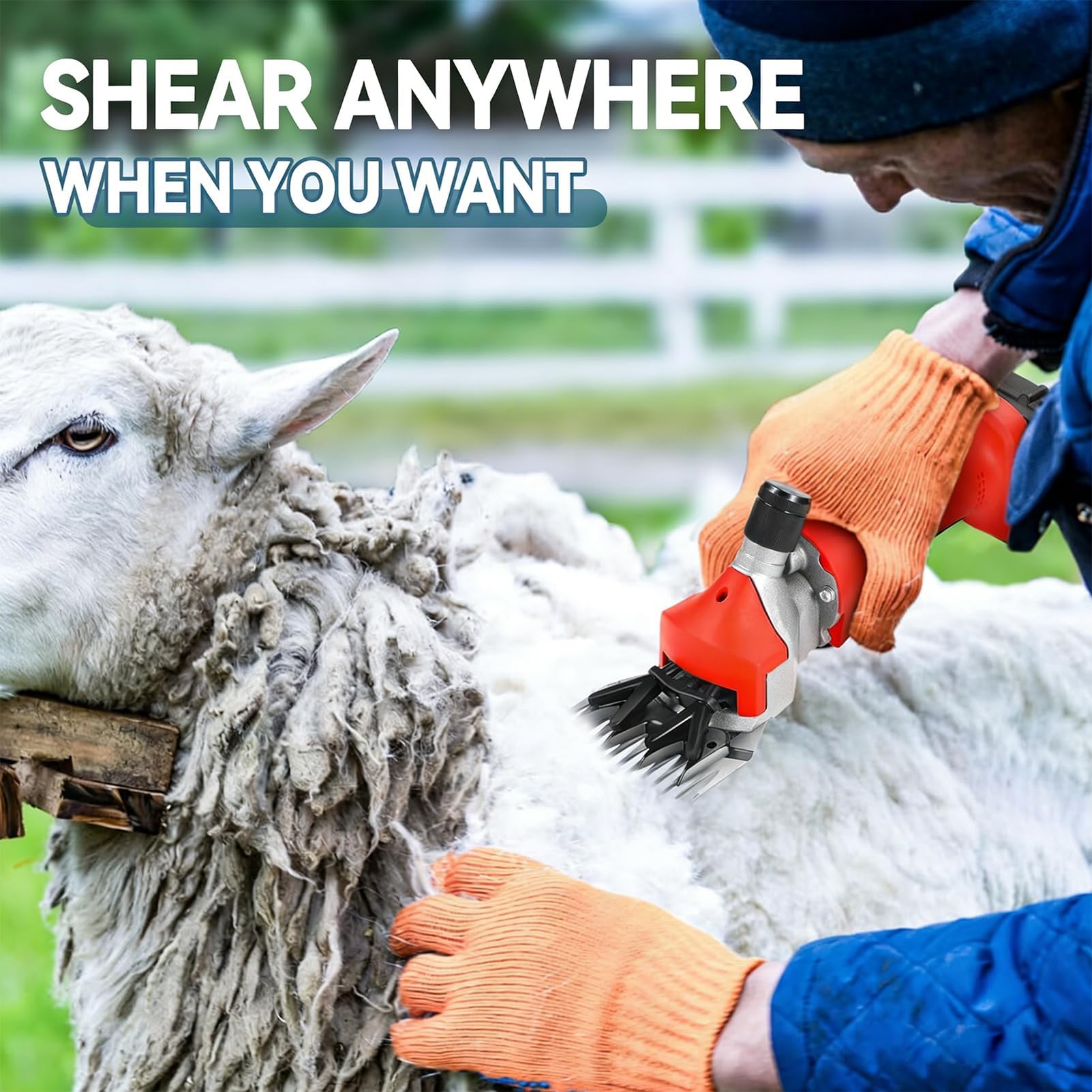 Cesoie for pecore a batteria | Tosatrici elettriche professionali for pecore, capre e alpaca(Black,13-teeth)