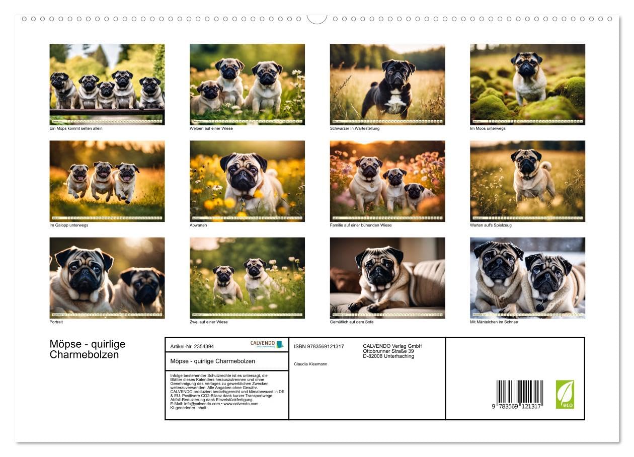 CALVENDO - Möpse - quirlige Charmebolzen (hochwertiger Premium Wandkalender 2027 DIN A2 quer), Kunstdruck in Hochglanz: Die i en Familien - und Seniorenhunde