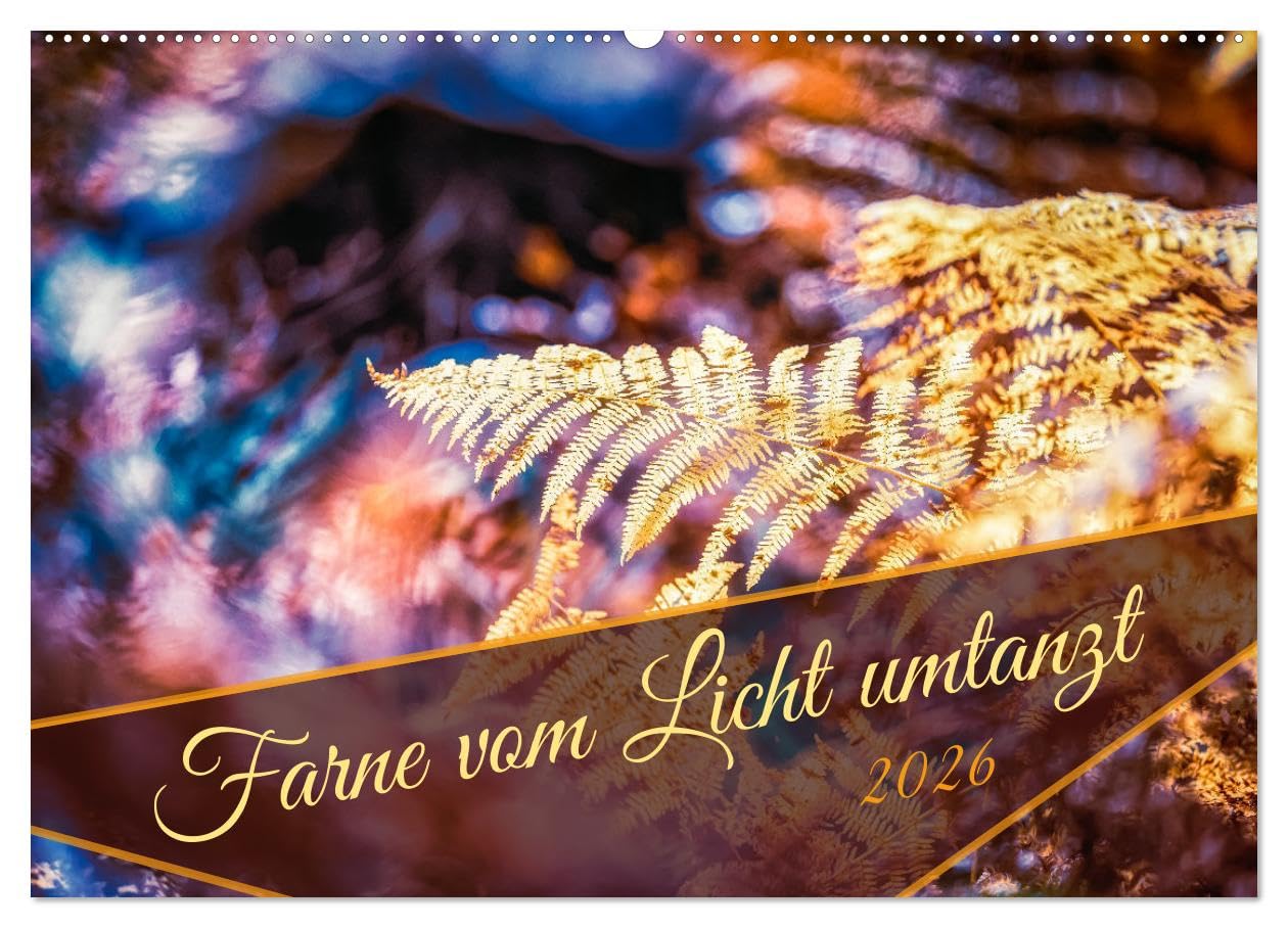 Farne vom Licht umtanzt (Wandkalender 2026 DIN A2 quer), CALVENDO Monatskalender: Farne bei verschiedenen Lichtstimmungen (CALVENDO Natur)