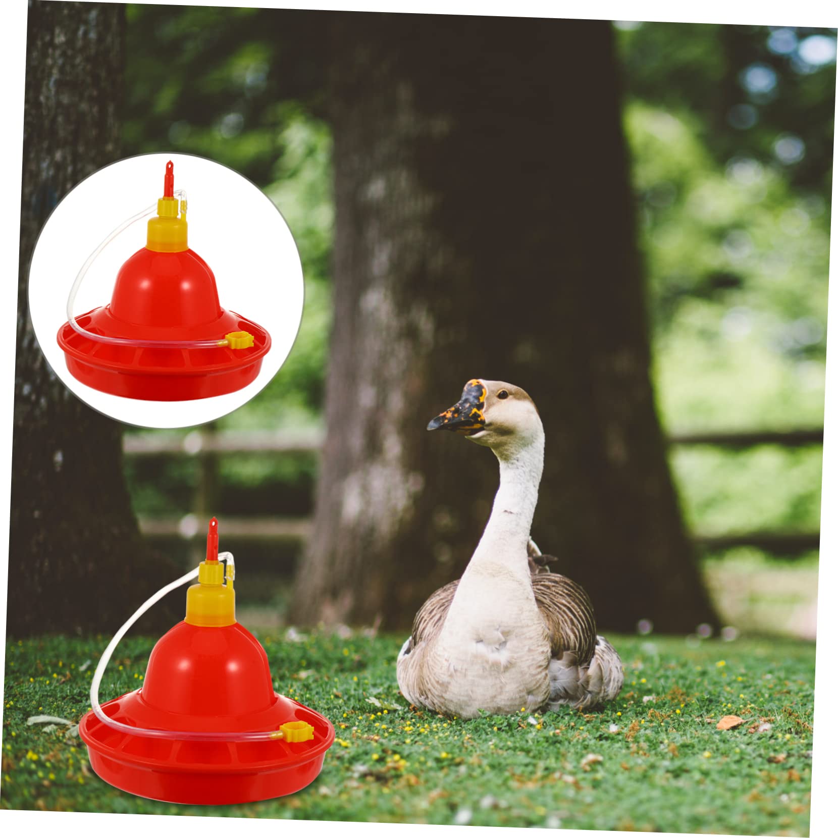 BESPORTBLE Mangiatoia Automatica Contenitore Acqua per Pollame in Plastica Rossa Resistente al Freddo Adatto a Galline e Anatre per Uso Agricolo e Interno