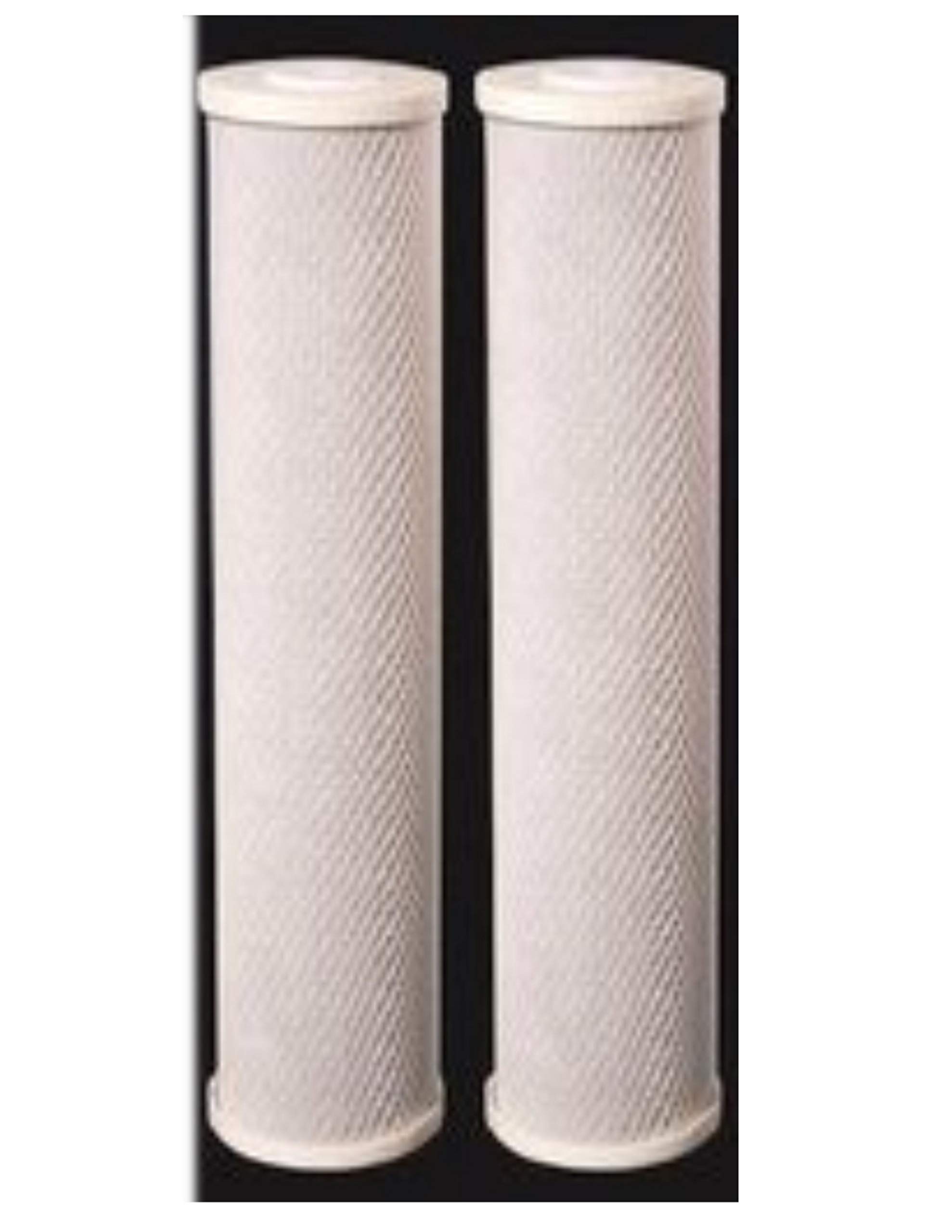 CFS COMPLETE FILTRATION SERVICES EST.2006 Carbon Filter - Radial Flow GACC - 20 Micron, 20" x 4.5" 2 Pack