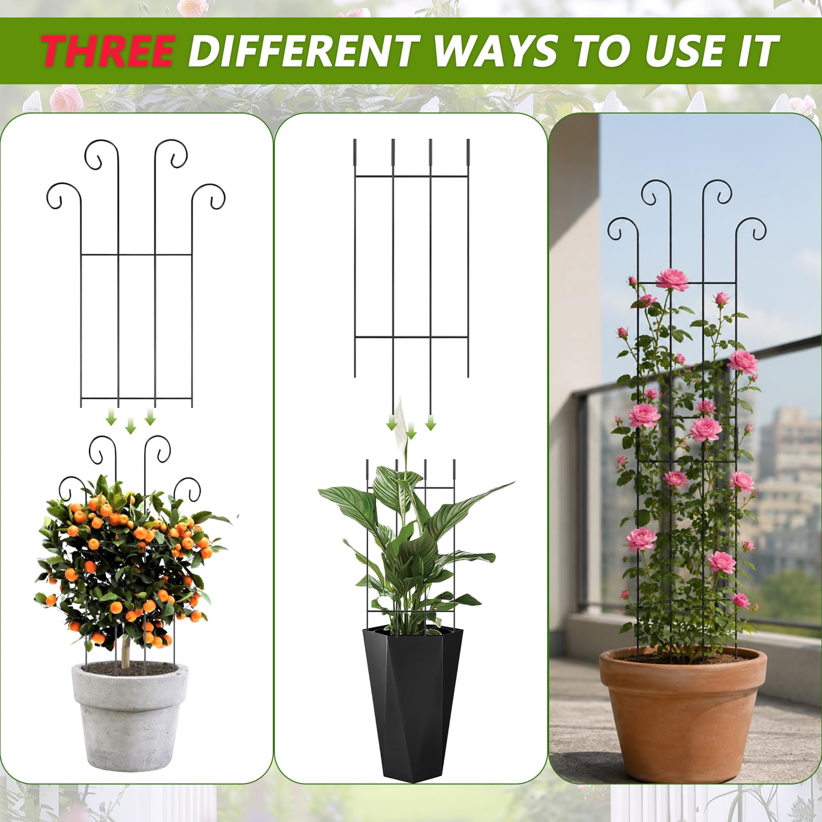 Set di 2 supporti per piante in metallo, ideali per piante rampicanti, viene fornito con 50 fascette per favorire la crescita, perfetto per giardini, balconi e uso interno (83 cm)
