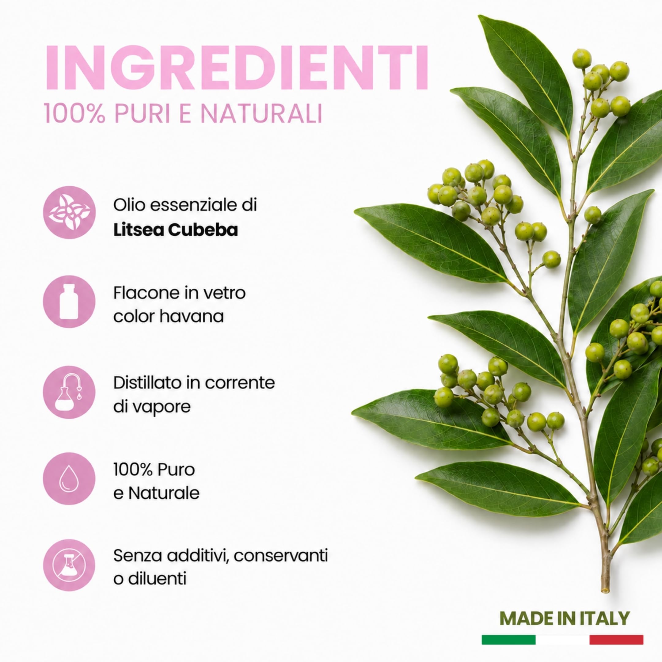 Olio Essenziale di Litsea Convenzionale Profumo Ambiente 10ml, 100% Naturale e Puro, Olio di Litsea Cubeba per Aromaterapia e Diffusori, Made in Italy