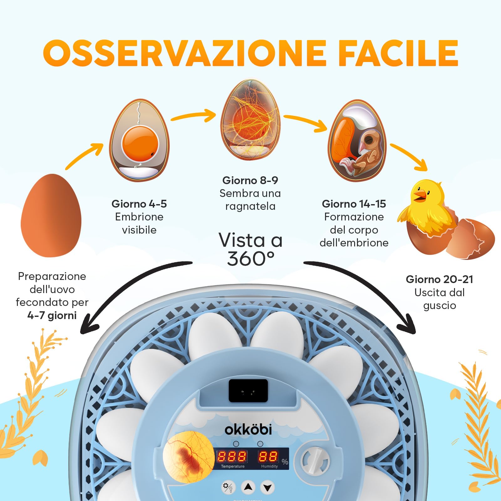 Incubatrice per Uova Automatica 12 Uova – Rotazione Automatica, Controllo Umidità, Mire-uovo Integrato, Bottiglie d’Acqua, Ventilazione, Visione a 360°