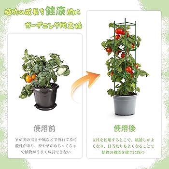 Amazon | STATIN4 トマト支柱 園芸支柱 植物支柱 花支え つる性