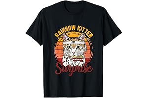 Rainbow Kitten Suprise: Vintage Cats, Ramen and Cuteness