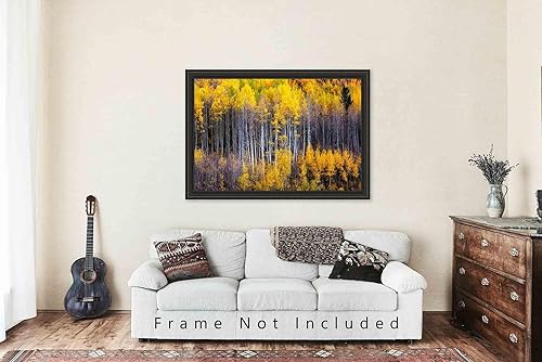 Miniatura 9 de Forest Photography Print (Not Framed) Picture of Aspen Trees Appearing as Reflection on Side of Mountain on Autumn Day at Maroon Bells Colorado