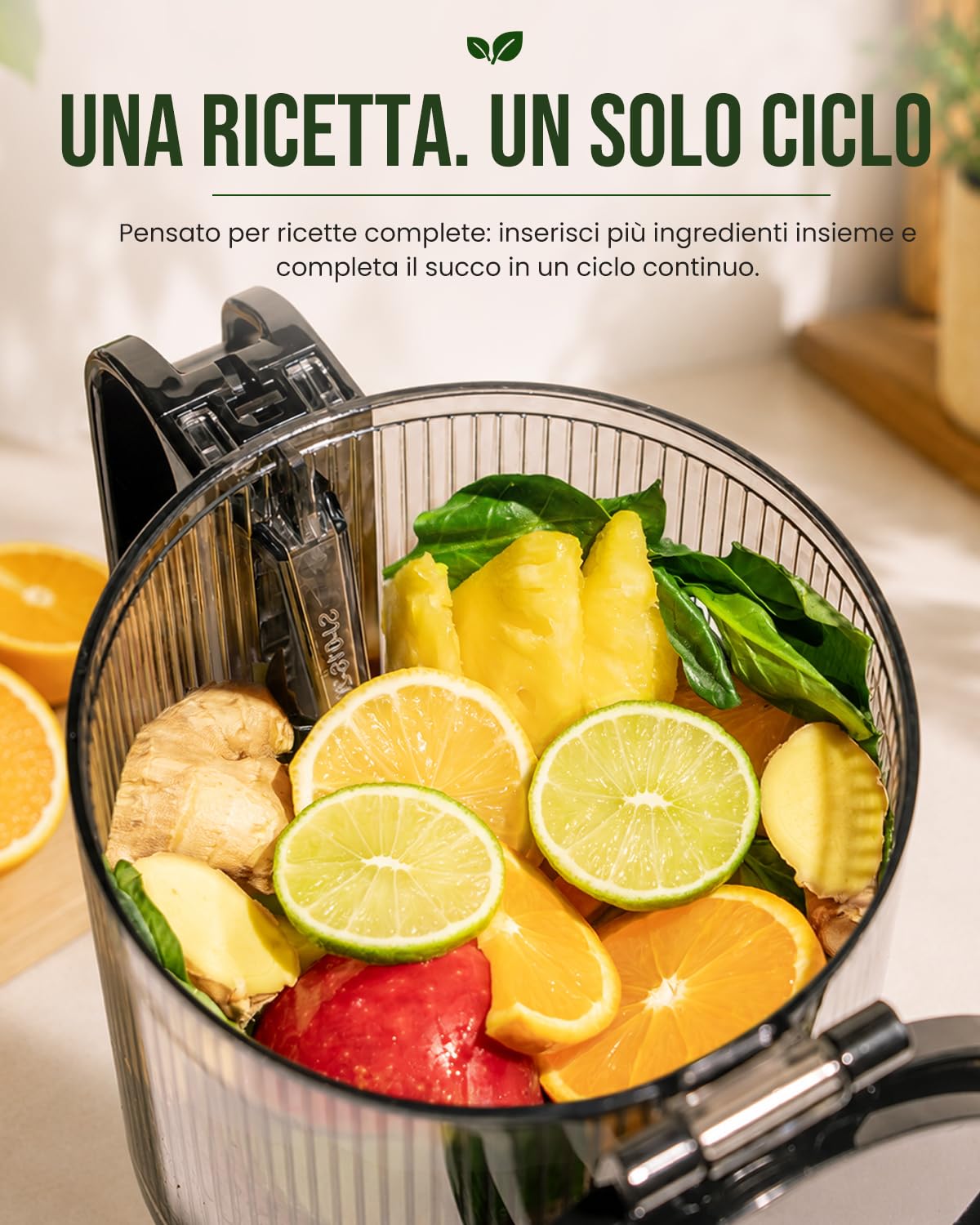 LINKChef Estrattore Frutta e Verdura, Estrattore di Succo a Freddo 250 W con Imboccatura Larga 13 cm, Juicer Machine Senza BPA, 1,8 L, Facile da Pulire, Ricette Incluse