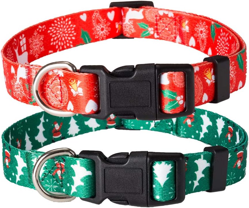 amazon prime dog collars