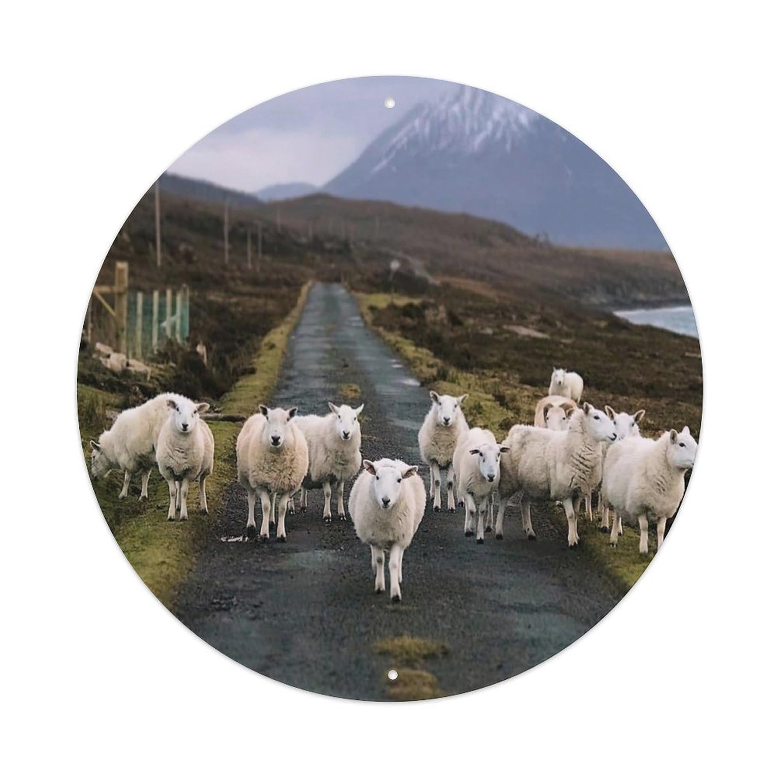 Animal Artwork Welsh Goat on The Road Vintage Metal Tin Sign Plaque Wall Decor for Cafe, Club Bar, Office, Garden Metal Poster 8x8Inch