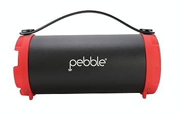 portronics pebble bluetooth speaker