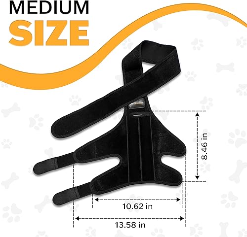 Miniatura 2 de Rodillera mediana para perro para desgarro del ligamento cruzado anterior, soporte ajustable para la pierna trasera del perro, rodillera para perros