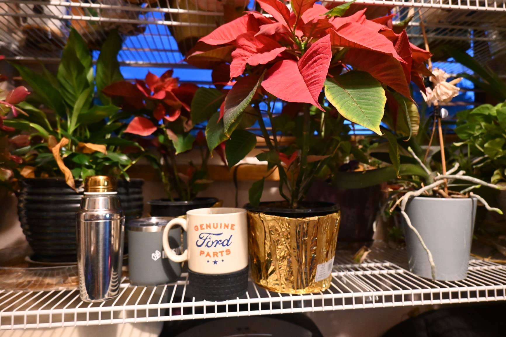 20/mo Finance Nikon Z 30 Our most compact, lightweight mirrorless stills/video camera