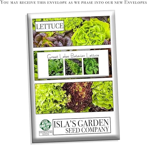 Miniatura 7 de Great Lakes - Semillas de lechuga de hoja batavia para plantar, más de 1000 semillas de reliquia por paquete, semillas de jardín de Isla (semillas