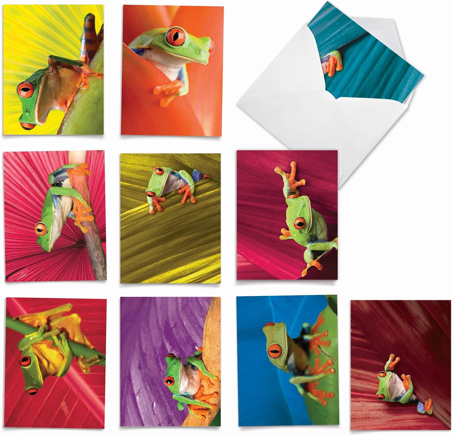 The Best Card Company - 10 Boxed Thank You Cards w/Envelopes, Animal Appreciation Stationery Set for Men and Women - Frog Days M9637TYG