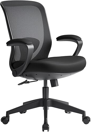 EUREKA ERGONOMIC Armis Ergonomic Office Chair with Back Support Flip up Arms, Home Office Desk Chair for Space Saving, Black, Breathable Backrest