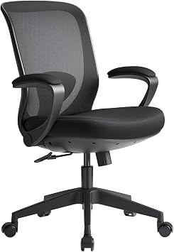 EUREKA ERGONOMIC Armis Ergonomic Office Chair with Back Support Flip up Arms, Home Office Desk Chair for Space Saving, Black, Breathable Backrest Mesh