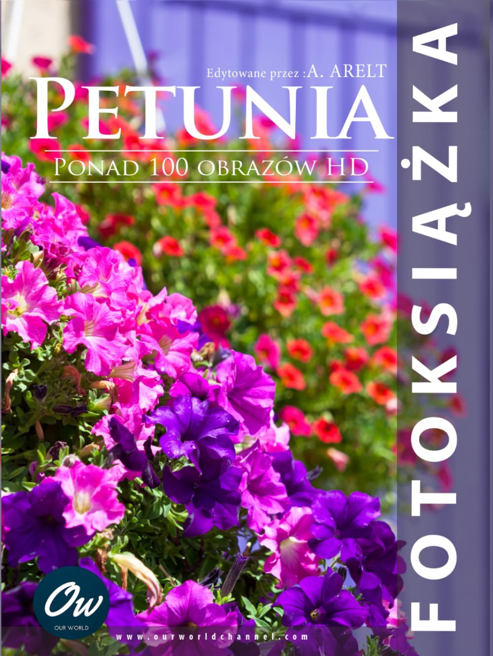 Album photo Petunia pour raconter vos vacances en famille