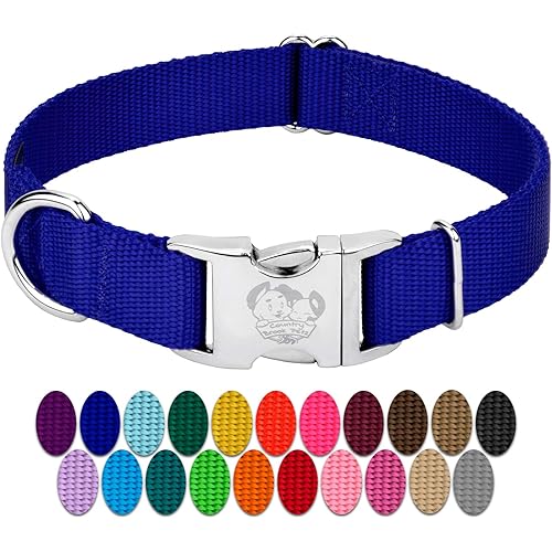 Country Brook Petz - Premium Nylon Dog Collar with Metal Buckle for Small Medium Large Breeds - 10+ Cool Colors (Large, 1 Inch, Bright Royal Blue)