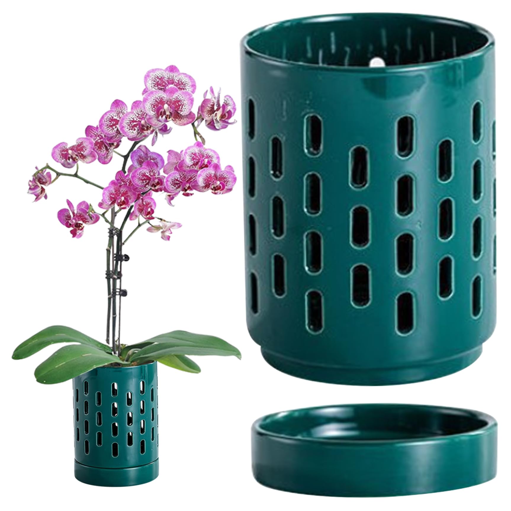 Pots d'orchidées creux avec trous et soucoupes pour vert intérieur
