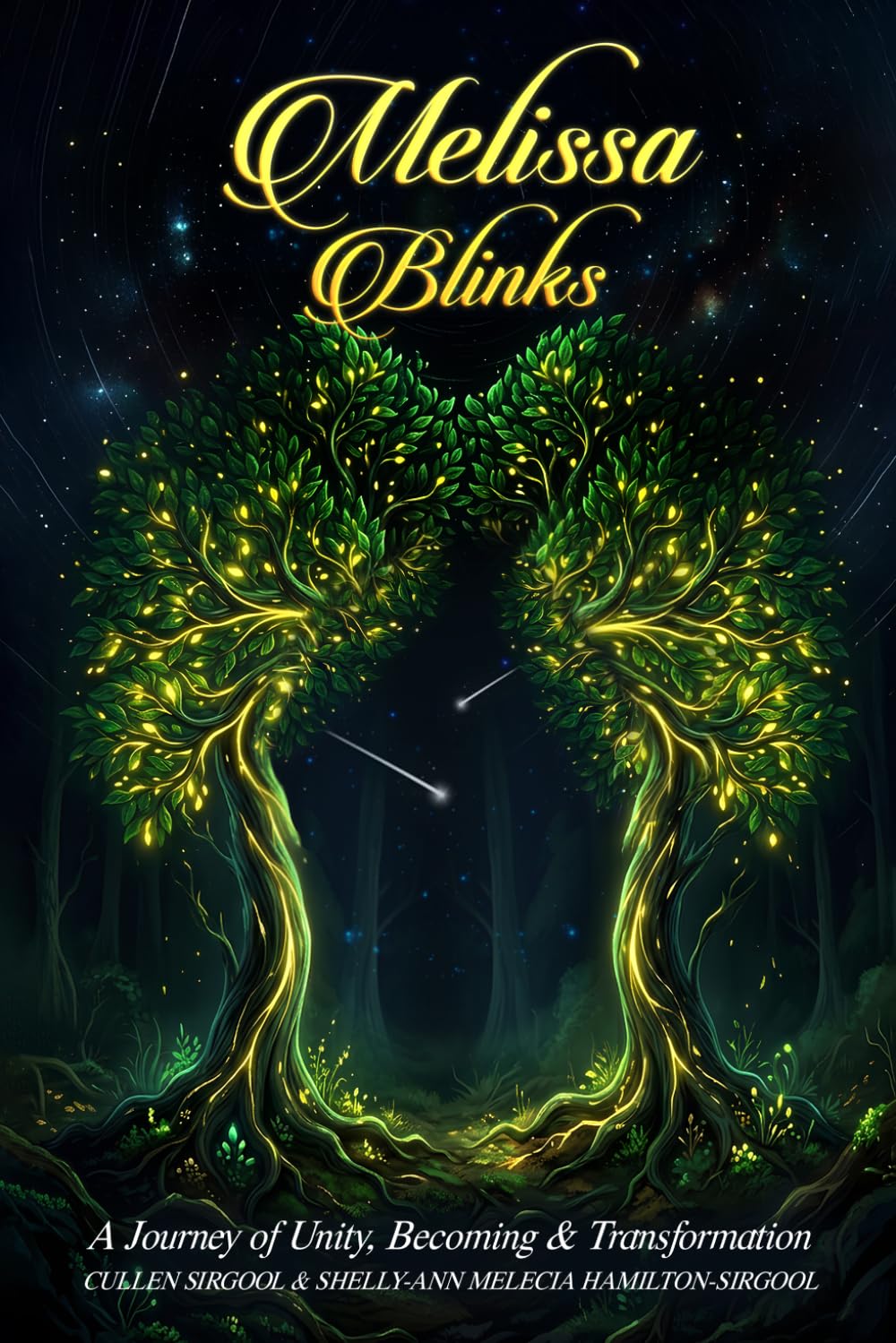 Melissa Blinks: A Journey of Unity, Becoming & Transformation