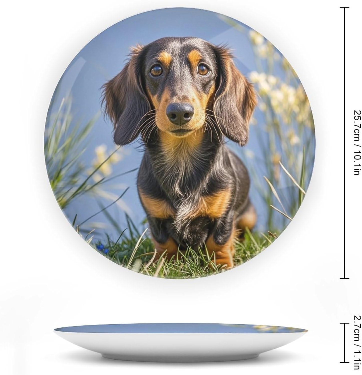 Pad Dachshund Ceramic Plate 10inch Decorative Bone China Wall Hanging Ornament Plates Bohemian Style Dinner Plate with Display Stand Cabinet Display Plates for Home Art Decor