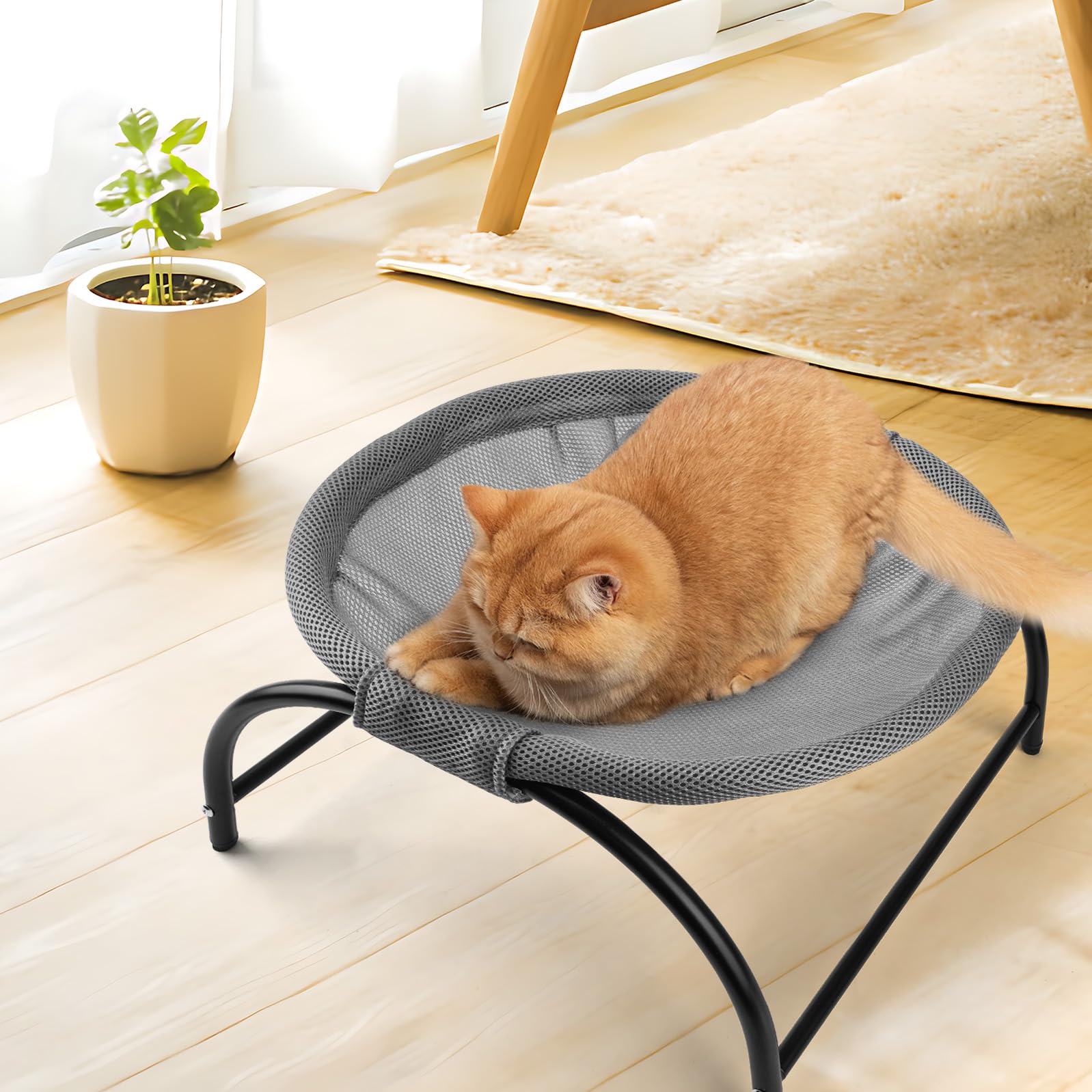 LIFLIX Katzenhängematte Outdoor, Erhöhter Katzenbett mit abnehmbarem, Waschbarem Netzstoff, Stehend Hängematte Katzen für Innen-/Außenbereich (Grau)